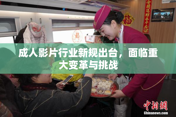 成人影片行业新规出台，面临重大变革与挑战