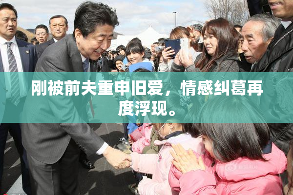 刚被前夫重申旧爱，情感纠葛再度浮现。