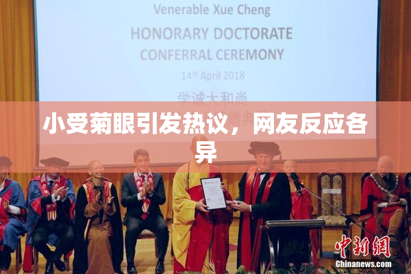 小受菊眼引发热议，网友反应各异