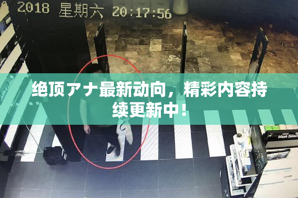 绝顶アナ最新动向，精彩内容持续更新中！