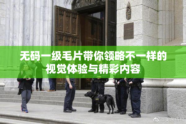 无码一级毛片带你领略不一样的视觉体验与精彩内容
