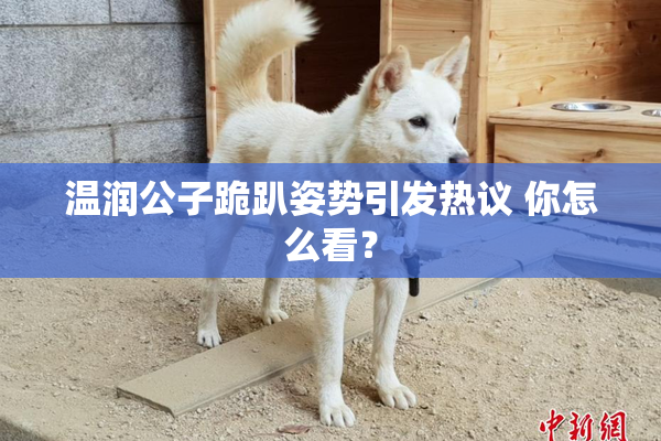 温润公子跪趴姿势引发热议 你怎么看？