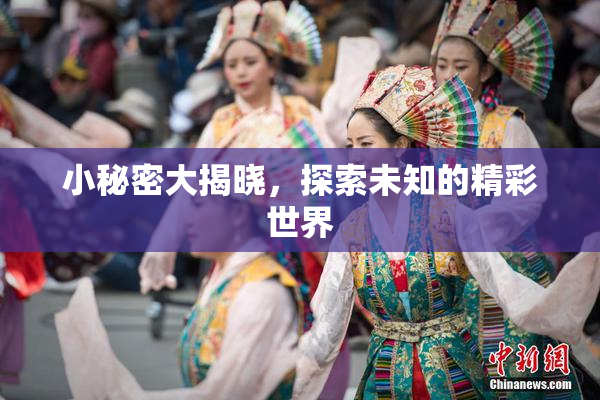 小秘密大揭晓，探索未知的精彩世界