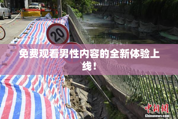 免费观看男性内容的全新体验上线！