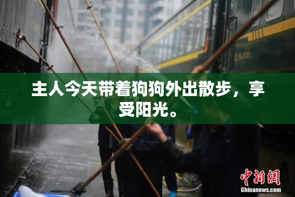 主人今天带着狗狗外出散步，享受阳光。