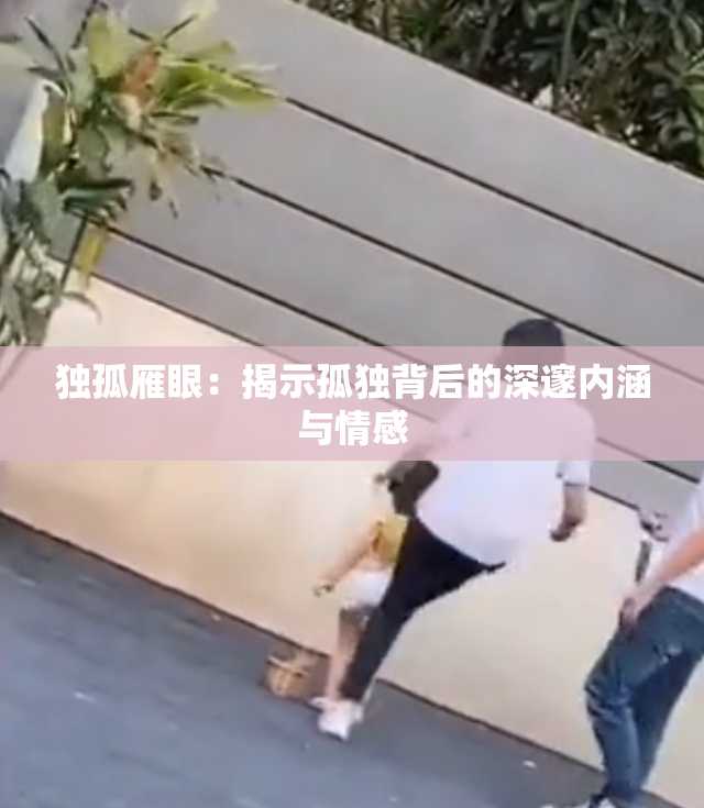 独孤雁眼：揭示孤独背后的深邃内涵与情感