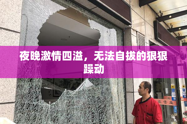 夜晚激情四溢，无法自拔的狠狠躁动