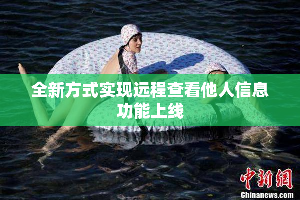 全新方式实现远程查看他人信息功能上线