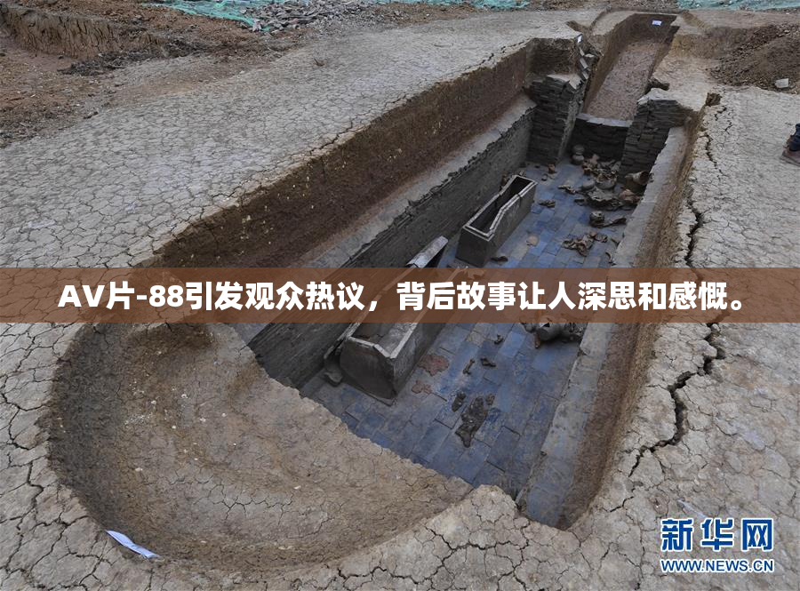 AV片-88引发观众热议，背后故事让人深思和感慨。