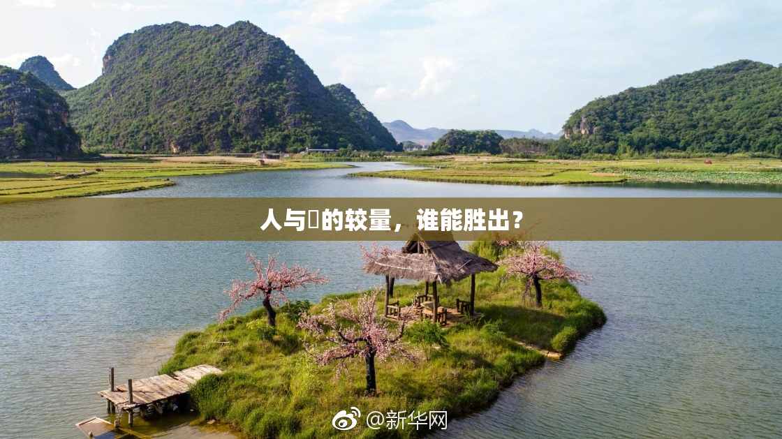 人与嘼的较量，谁能胜出？