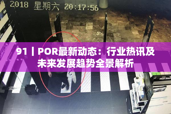 91丨POR最新动态：行业热讯及未来发展趋势全景解析