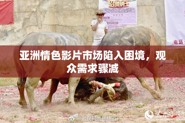 亚洲情色影片市场陷入困境，观众需求骤减