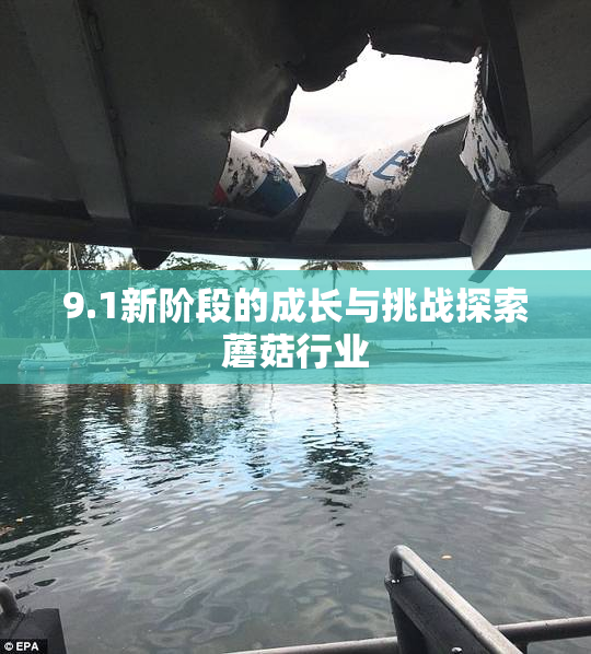 9.1新阶段的成长与挑战探索蘑菇行业
