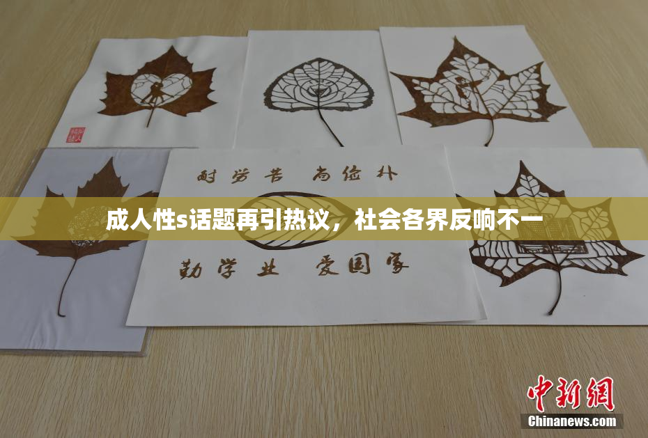 成人性s话题再引热议，社会各界反响不一