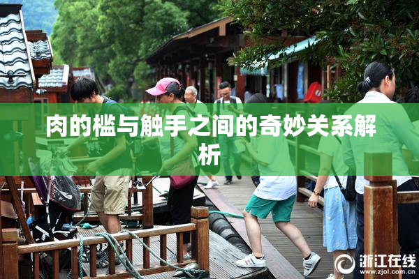 肉的槛与触手之间的奇妙关系解析