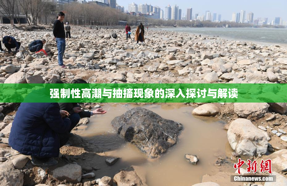 强制性高潮与抽搐现象的深入探讨与解读