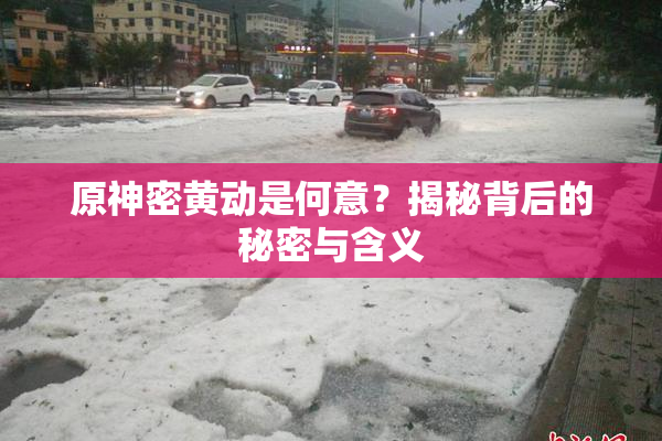 原神密黄动是何意？揭秘背后的秘密与含义