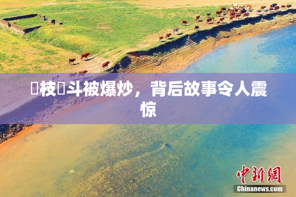 狛枝凪斗被爆炒，背后故事令人震惊
