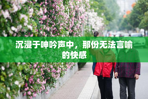 沉浸于呻吟声中，那份无法言喻的快感