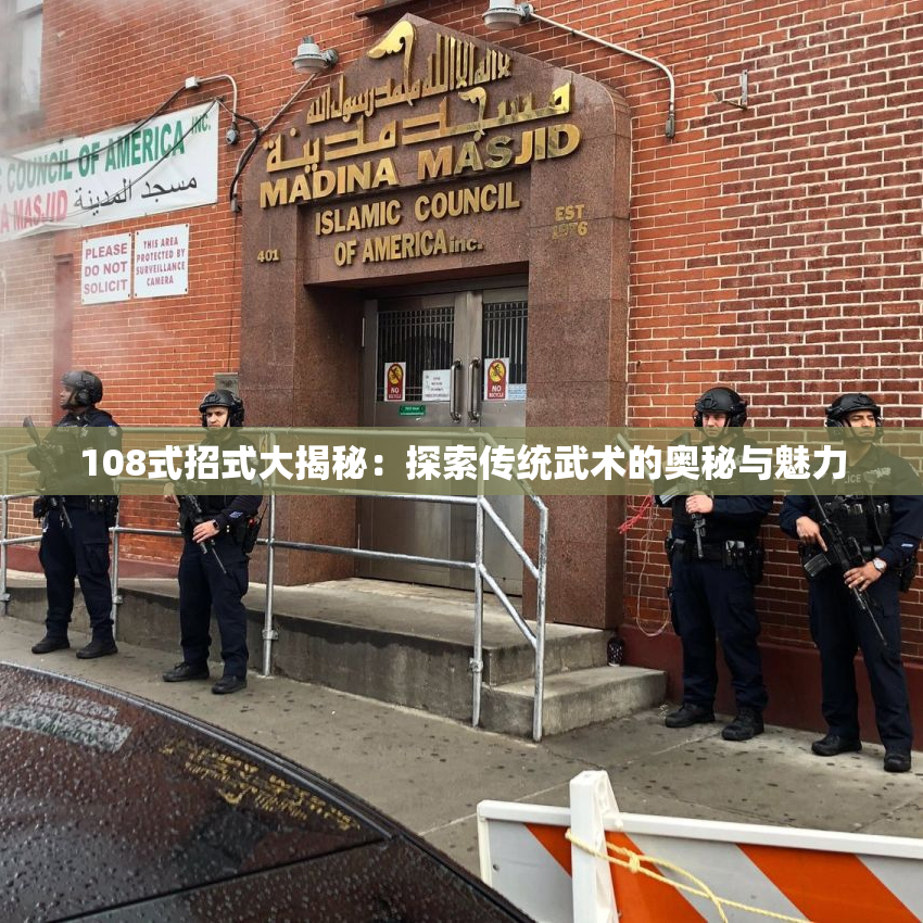 108式招式大揭秘：探索传统武术的奥秘与魅力