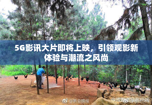 5G影讯大片即将上映，引领观影新体验与潮流之风尚