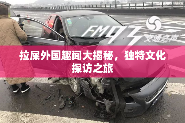 拉屎外国趣闻大揭秘，独特文化探访之旅