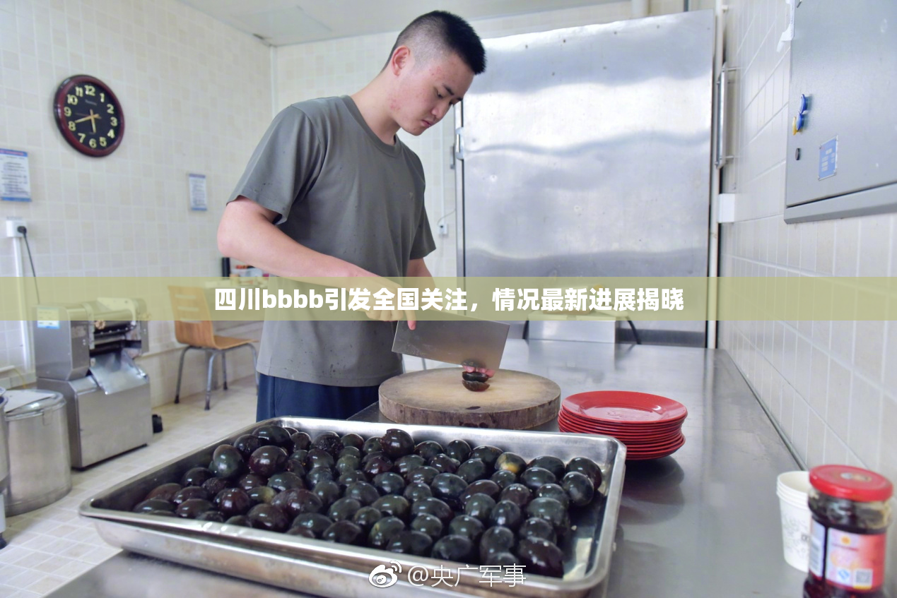 四川bbbb引发全国关注，情况最新进展揭晓