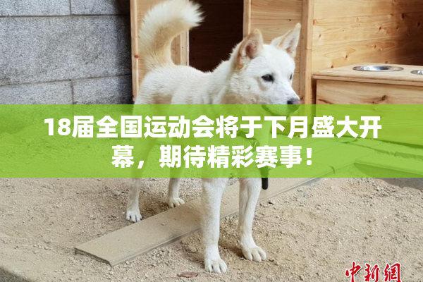 18届全国运动会将于下月盛大开幕，期待精彩赛事！