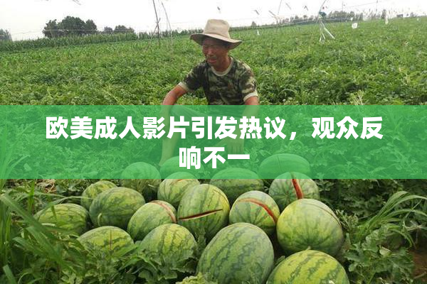 欧美成人影片引发热议，观众反响不一