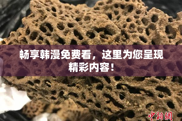 畅享韩漫免费看，这里为您呈现精彩内容！