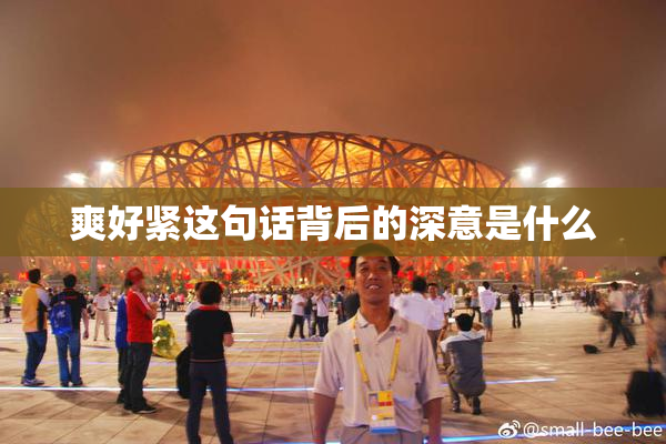 爽好紧这句话背后的深意是什么