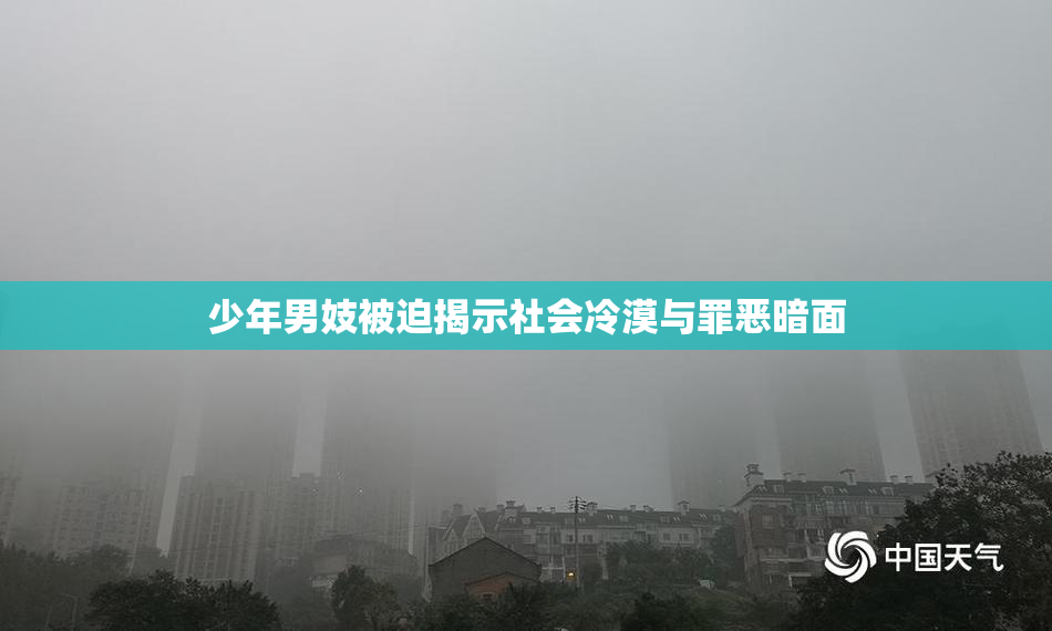 少年男妓被迫揭示社会冷漠与罪恶暗面