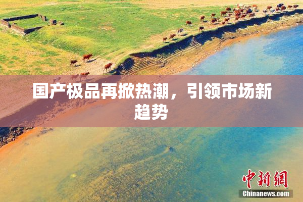 国产极品再掀热潮，引领市场新趋势