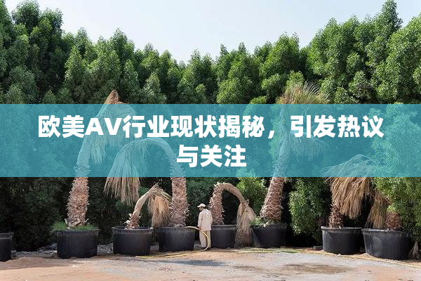 欧美AV行业现状揭秘，引发热议与关注