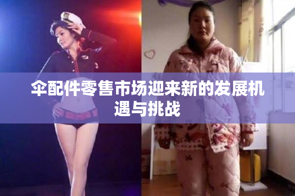 伞配件零售市场迎来新的发展机遇与挑战