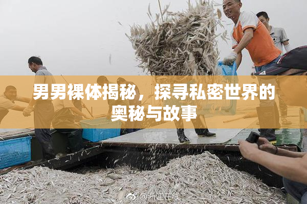 男男裸体揭秘，探寻私密世界的奥秘与故事