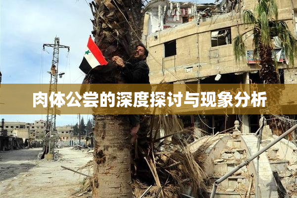肉体公尝的深度探讨与现象分析