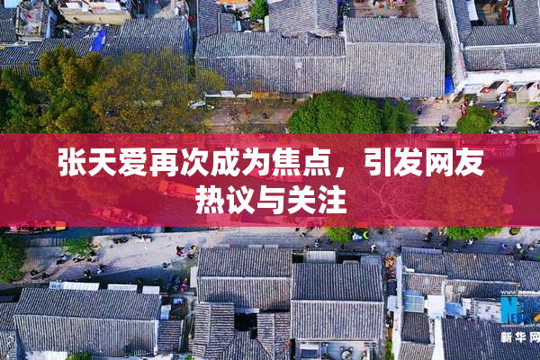 张天爱再次成为焦点，引发网友热议与关注
