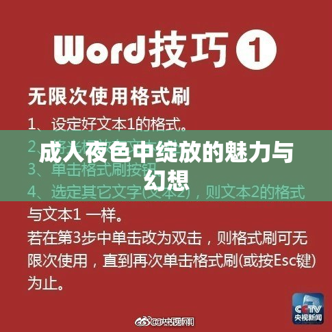 成人夜色中绽放的魅力与幻想