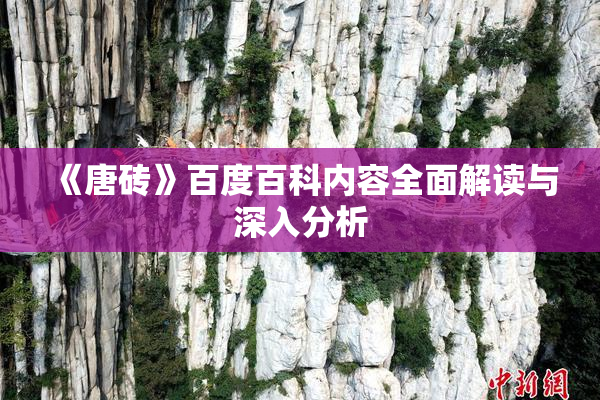 《唐砖》百度百科内容全面解读与深入分析