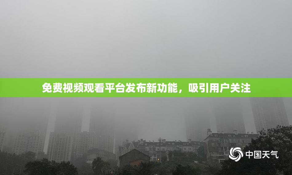 免费视频观看平台发布新功能，吸引用户关注