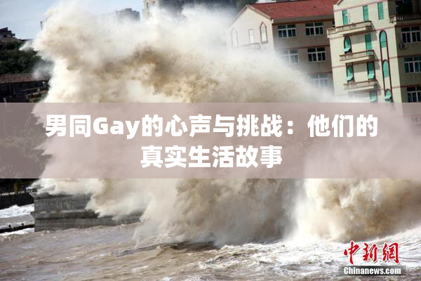 男同Gay的心声与挑战：他们的真实生活故事