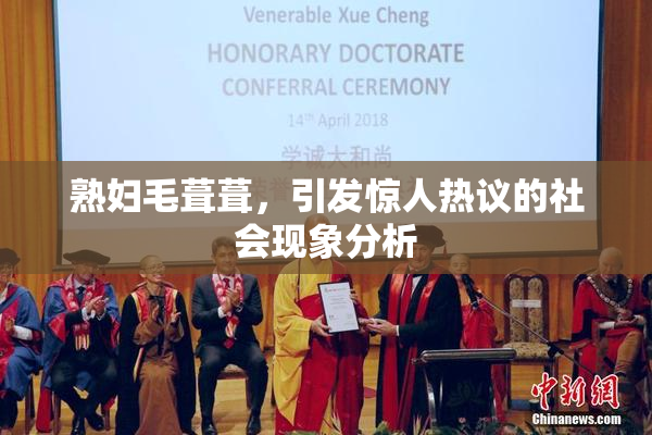 熟妇毛葺葺，引发惊人热议的社会现象分析