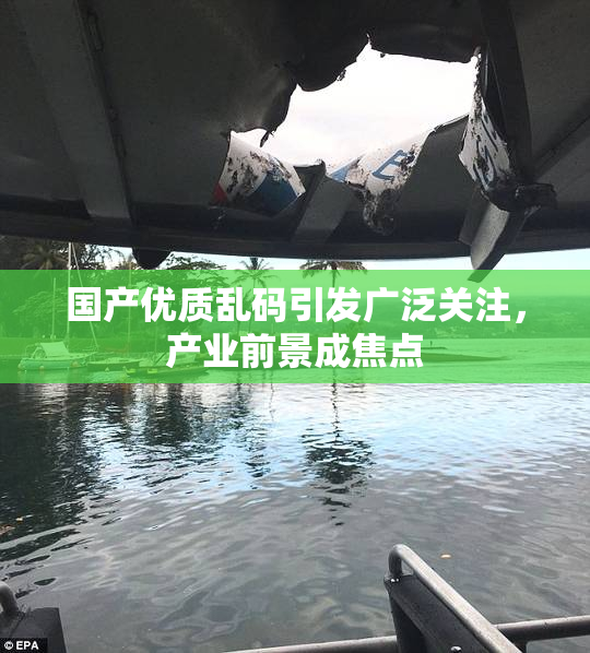 国产优质乱码引发广泛关注，产业前景成焦点