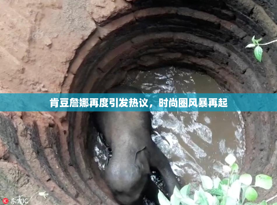 肯豆詹娜再度引发热议，时尚圈风暴再起