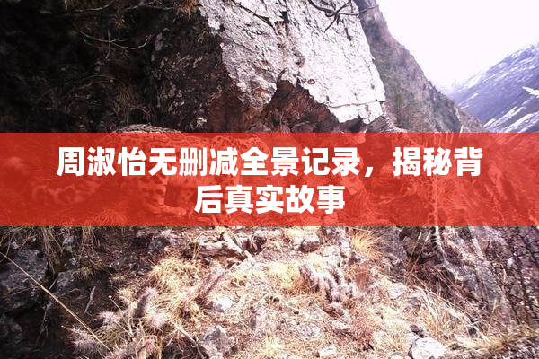 周淑怡无删减全景记录，揭秘背后真实故事