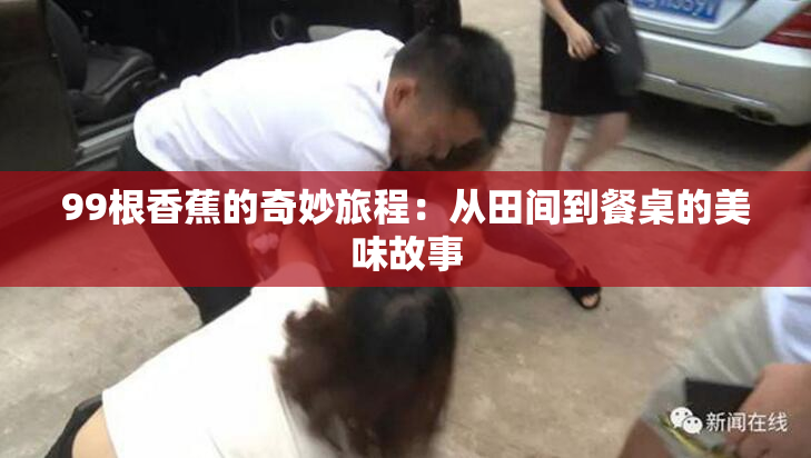 99根香蕉的奇妙旅程：从田间到餐桌的美味故事
