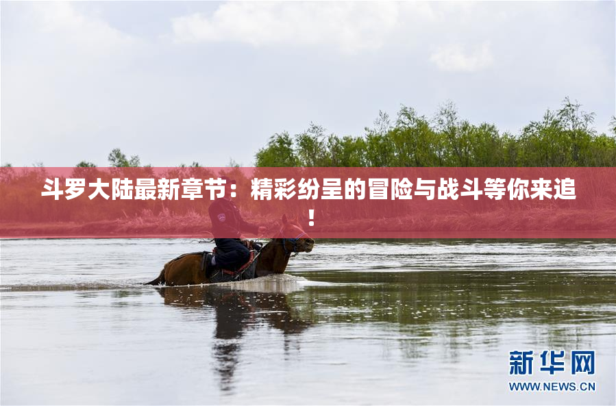 斗罗大陆最新章节：精彩纷呈的冒险与战斗等你来追！