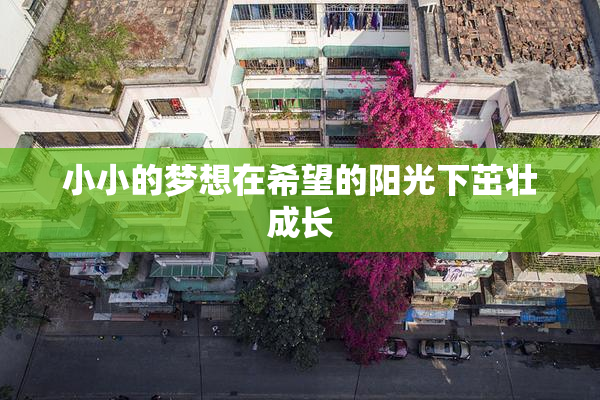 小小的梦想在希望的阳光下茁壮成长