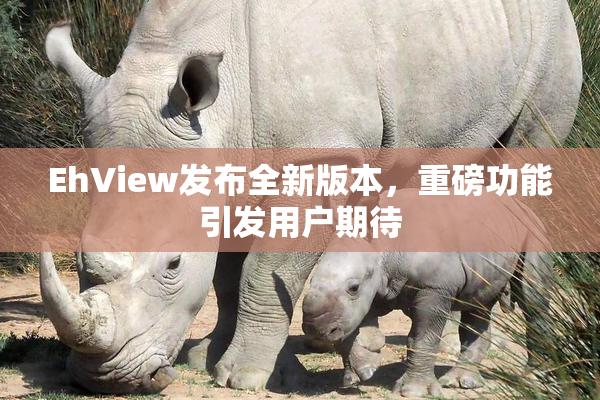 EhView发布全新版本，重磅功能引发用户期待